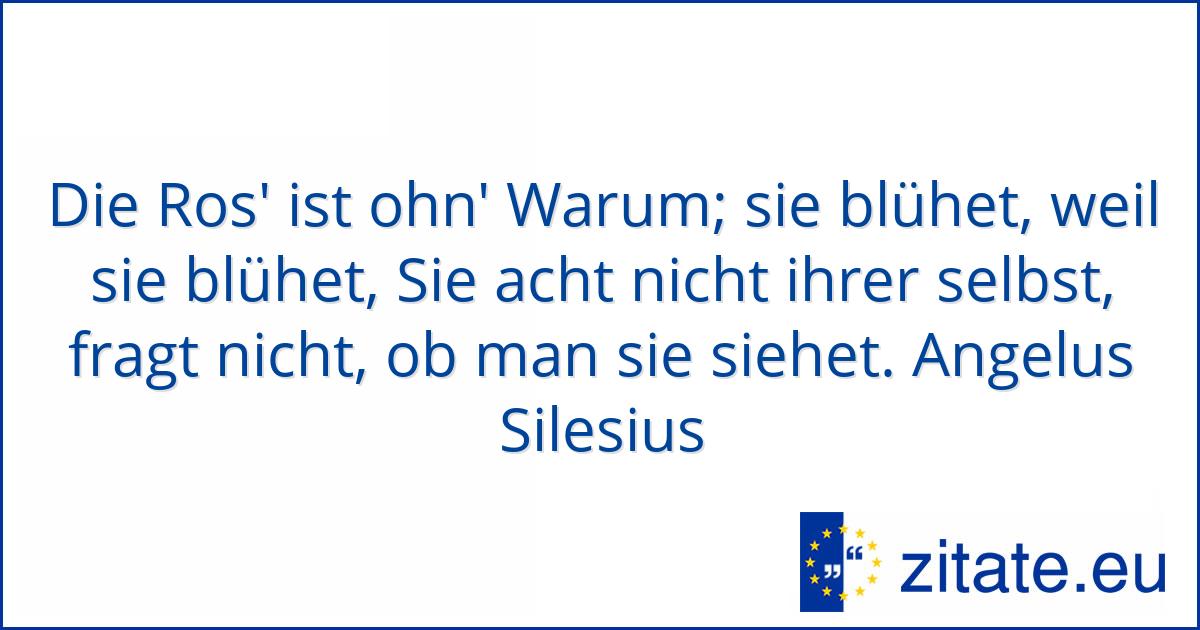 Angelus Silesius zitate.eu