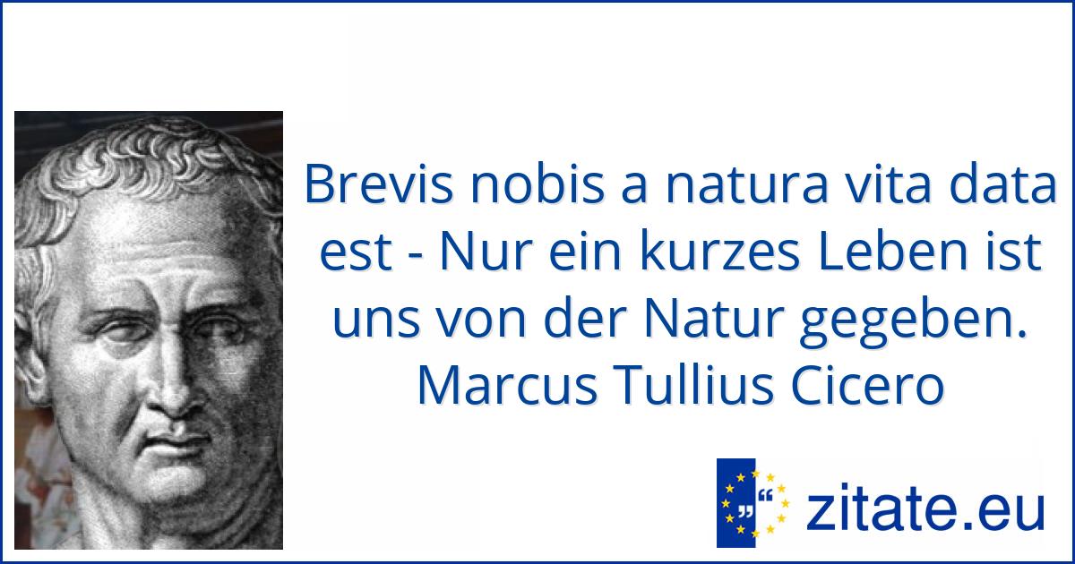 Marcus tullius cicero zitate outlet