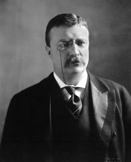 Theodore Roosevelt - Everett Historical/Shutterstock.com