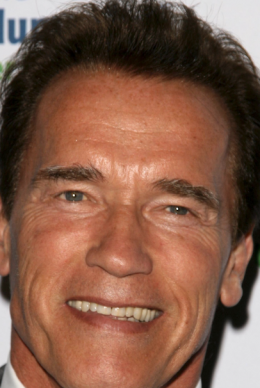 Arnold Schwarzenegger - bukley/Shutterstock.com